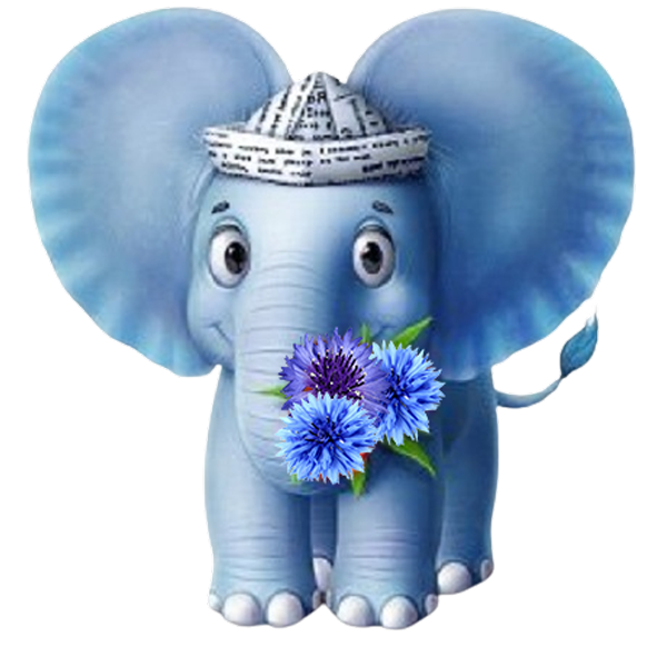 НОВА Хімчистка Умань<br />
<span>Чистимо все !!!</span><br />
